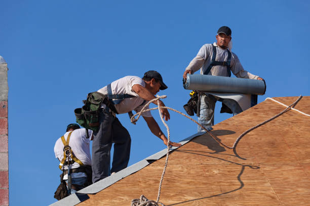 Best Commercial Roofing Services  in Aberdeen, IN